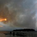 В Йелоустоун избухнаха горски пожари